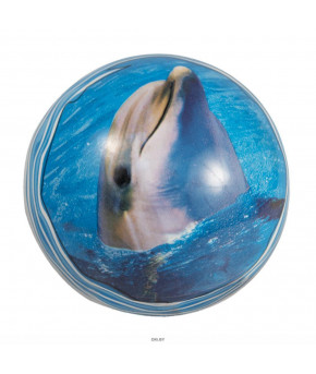 Мяч Дельфин