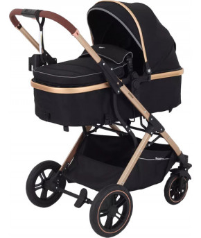 Модульная коляска 2 в 1 Rant Pulsar Gold Pro Black