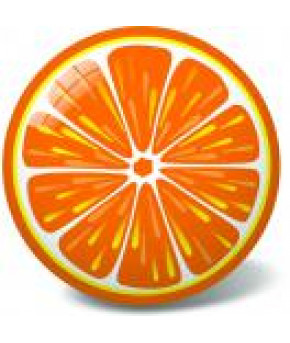 Мяч Апельсин 23см