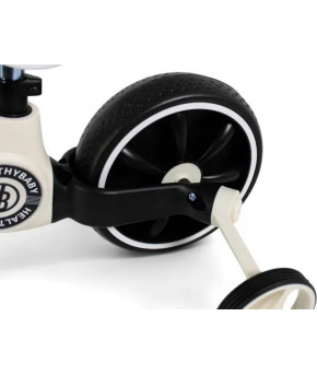 Велосипед-беговел RiverToys HealthyBaby-318 2 в 1 Black