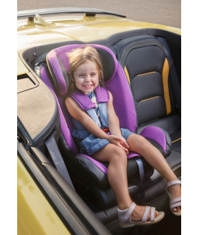 Автокресло Martin noir Discovery I-Size Pink Pegasus (0-36кг)